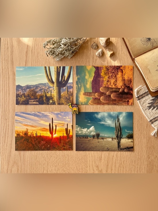 Other - Desert Cactus Postcard Set with Croc Charm